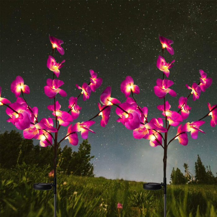 Lampes solaires de jardin Orchid